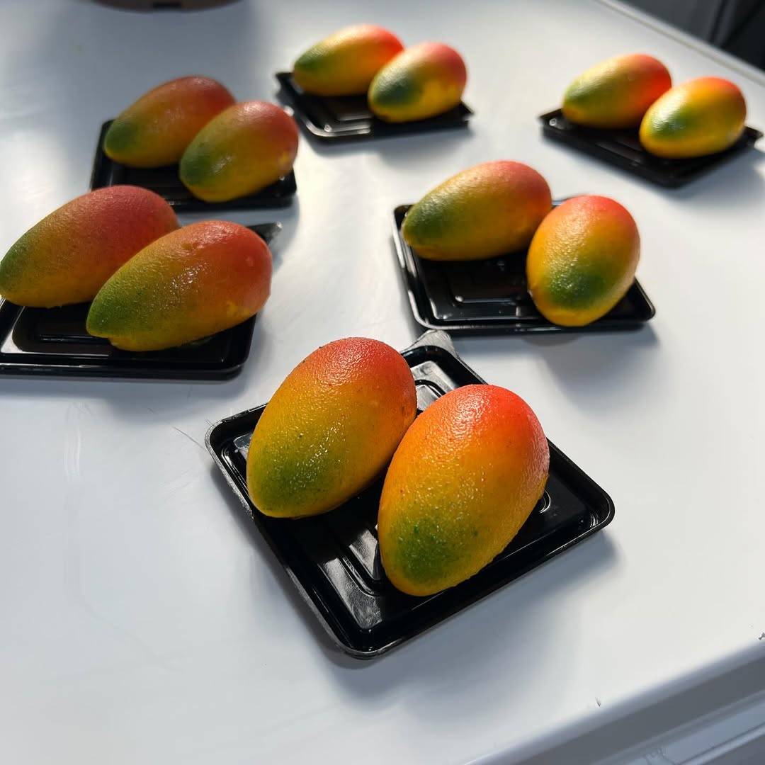 Trompe l’œil mini mange