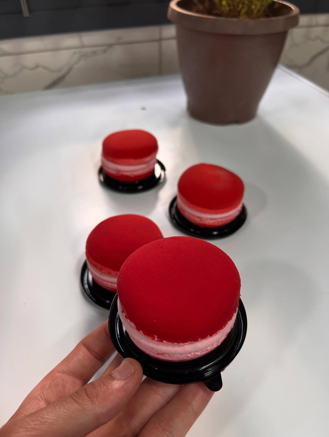 Trompe l’œil macaron framboise