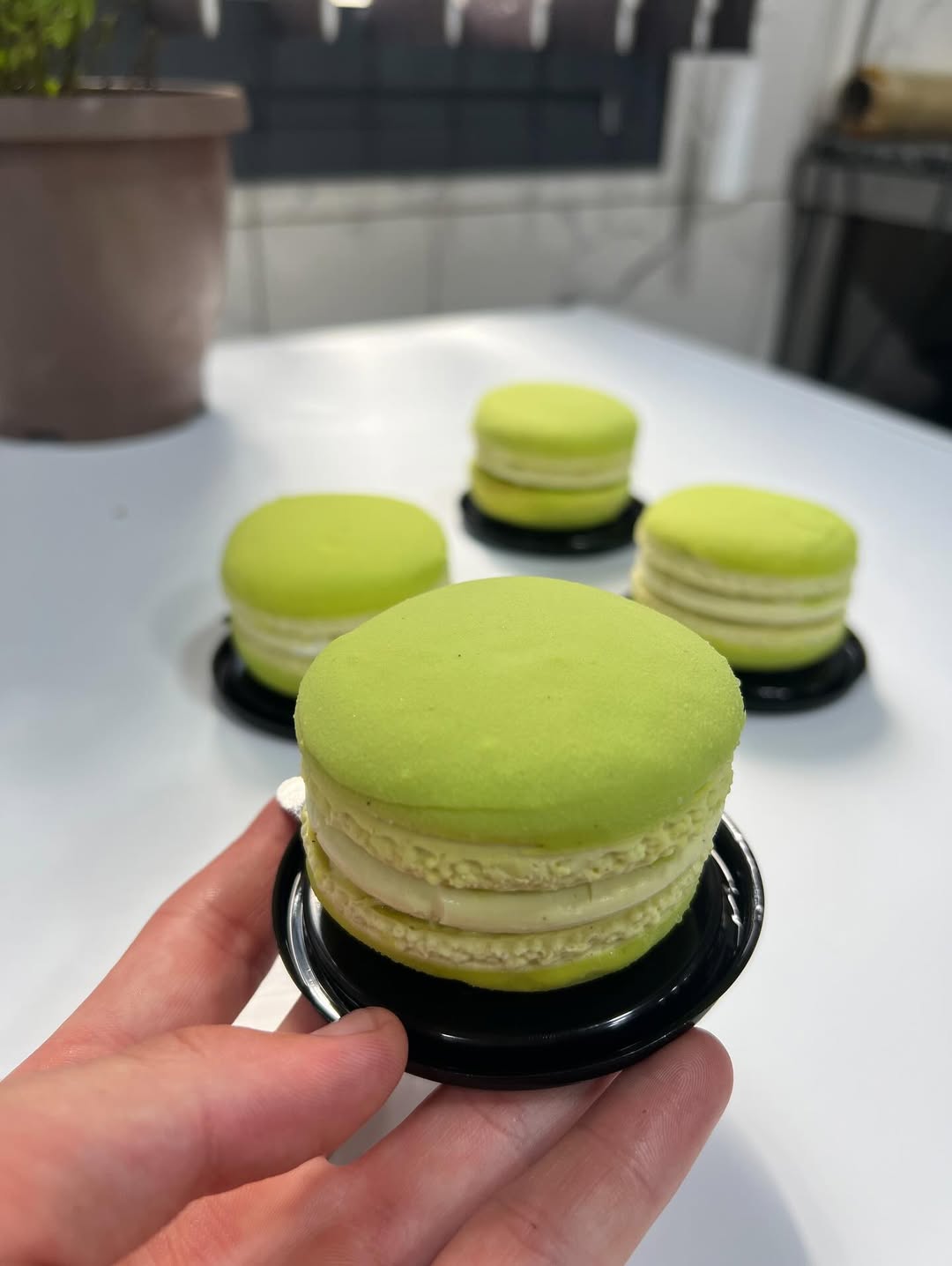 Trompe l’œil macaron Pistache