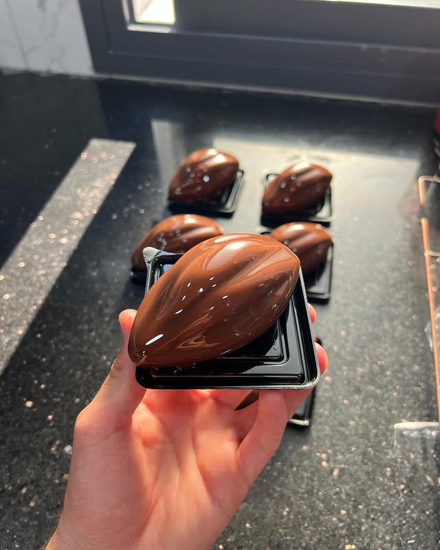 Cabosse fève de cacao